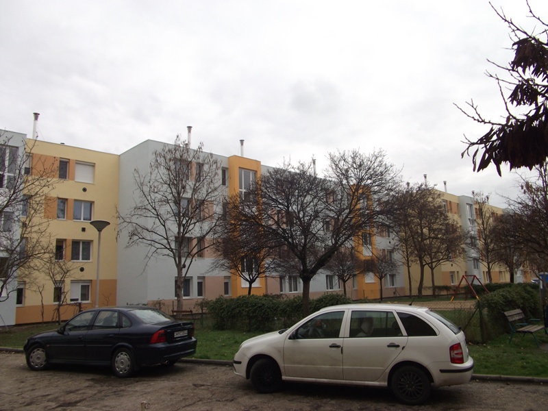 DSCF1805